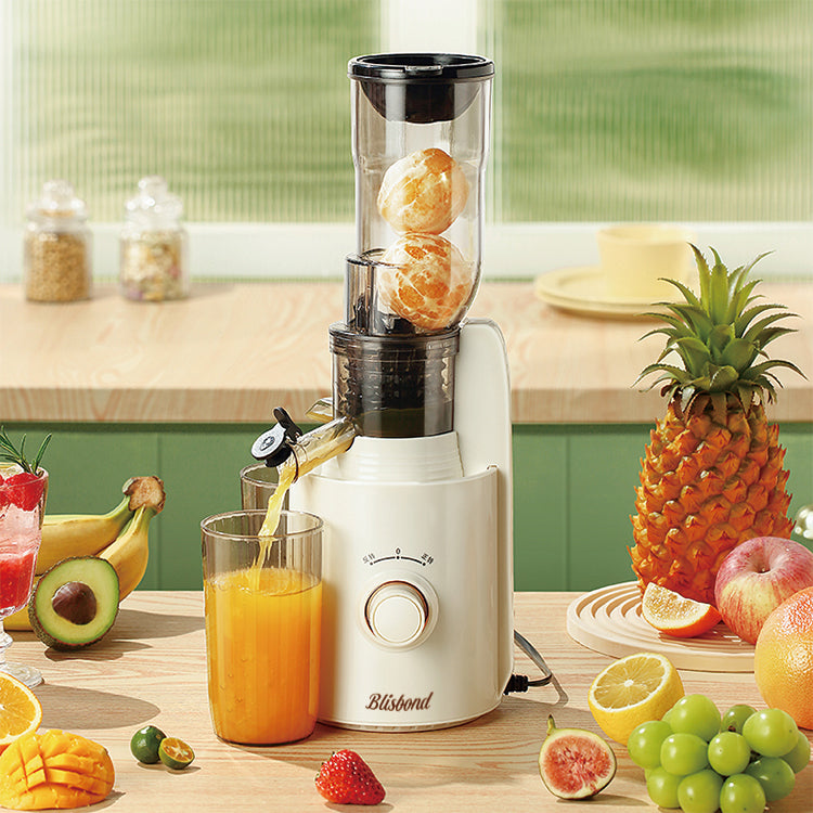 Press Juicer GZ31