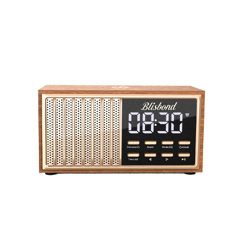 Retro Speaker RT ONE