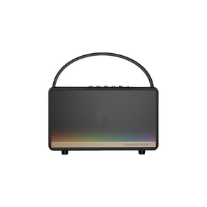 Party Speaker
